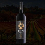 Vinuri Moldova